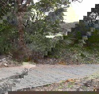 Great North Walk  Ku-ring-gai Chase National Park - Holiday Adelaide