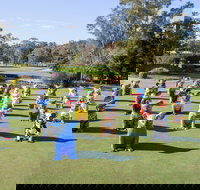 Hello Koalas Sculpture Trail - Holiday Adelaide