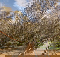 Lachlan River Swing Bridge - Holiday Adelaide