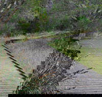 Leschenault Peninsula Conservation Park - Holiday Adelaide