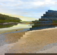 Mangrove Walk - Holiday Adelaide