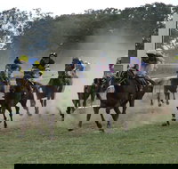 Mendooran - Holiday Adelaide