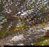 Middle Lagoon Walking Track - Holiday Adelaide