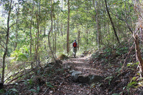 Morelia Walking Track, D'Aguilar National Park - Holiday Adelaide 1