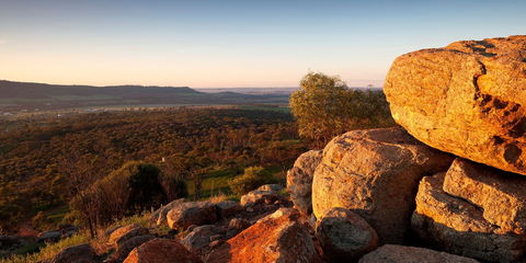 Mount Brown Lookout - Holiday Adelaide 0