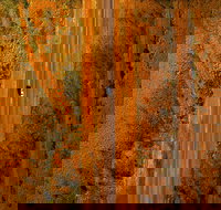 Newcastle Waters - Holiday Adelaide