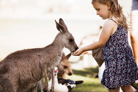 Oakvale Wildlife Park - Holiday Adelaide 1