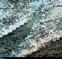 O'Sullivans Gap Picnic Area - Holiday Adelaide