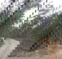 Paddys Ranges State Park - Holiday Adelaide