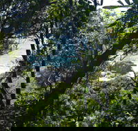 Rainforest Walking Track Hat Head National Park - Holiday Adelaide