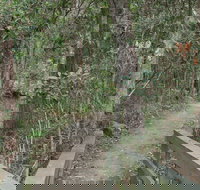 Springwood Conservation Park - Holiday Adelaide