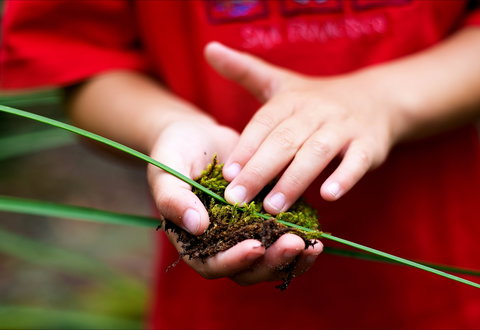 Strickland State Forest - Holiday Adelaide 1