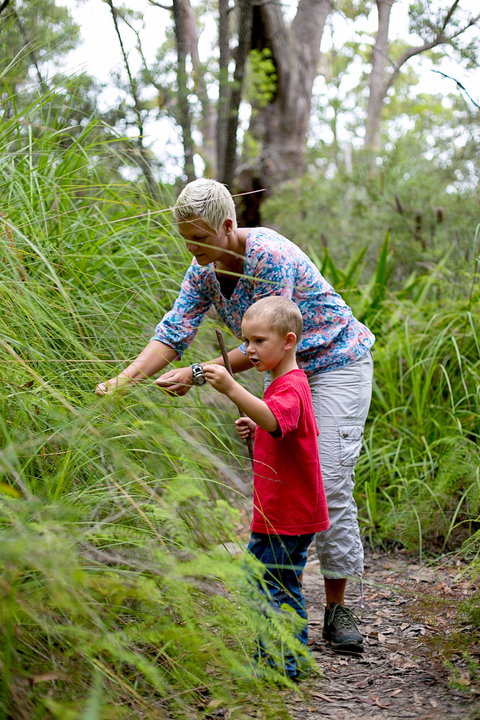 Strickland State Forest - Holiday Adelaide 2