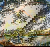 Sturt Gorge Recreation Park - Holiday Adelaide