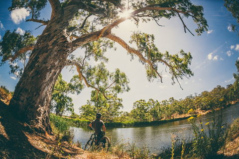 Sturt Gorge Recreation Park - Holiday Adelaide 0