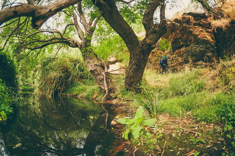 Sturt Gorge Recreation Park - Holiday Adelaide 1