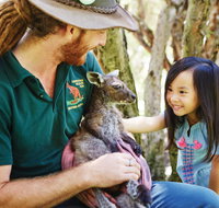 Swan Valley Kids In The Valley Trail - Holiday Adelaide