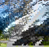 The Herbig Family Tree - Holiday Adelaide