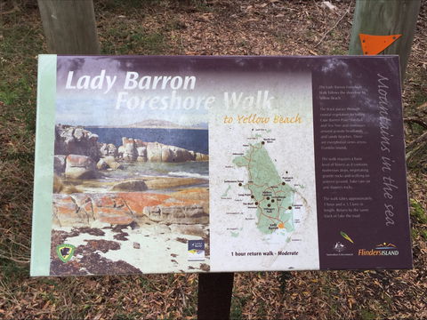 The Lady Barron Foreshore Walk - Holiday Adelaide 0