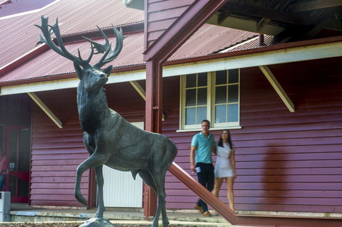 Toogoolawah - Holiday Adelaide 1