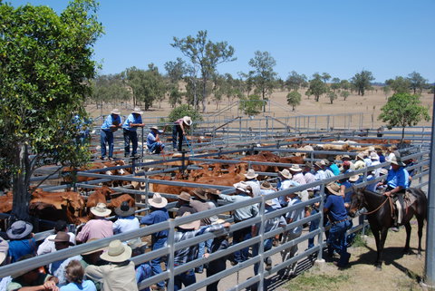 Toogoolawah - Holiday Adelaide 2