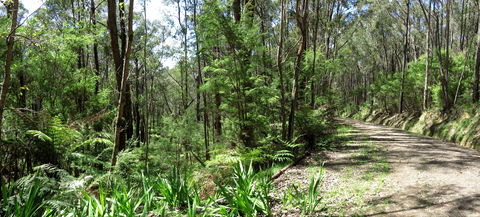 Tyers Park - Holiday Adelaide 0