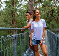 Valley of the Giants Tree Top Walk - Holiday Adelaide
