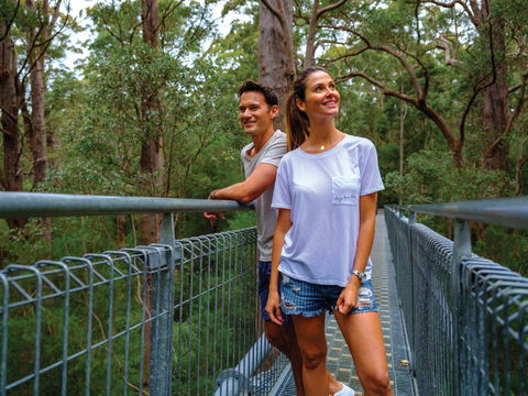 Valley Of The Giants Tree Top Walk - Holiday Adelaide 0