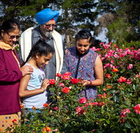 Victoria State Rose Garden at Werribee Park