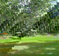 Woolgoolga Creek Picnic Area - Holiday Adelaide