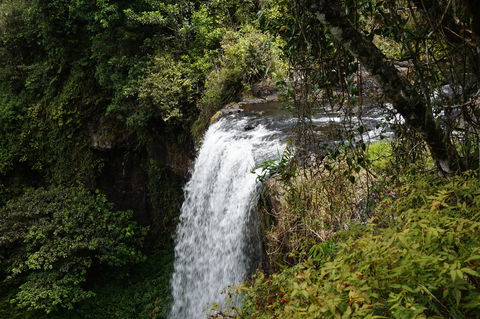 Zillie Falls - Holiday Adelaide 0
