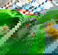 AquaPulse - Holiday Adelaide