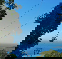 Arthurs Seat Eagle - Holiday Adelaide