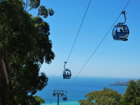 Arthurs Seat Eagle - Holiday Adelaide 0