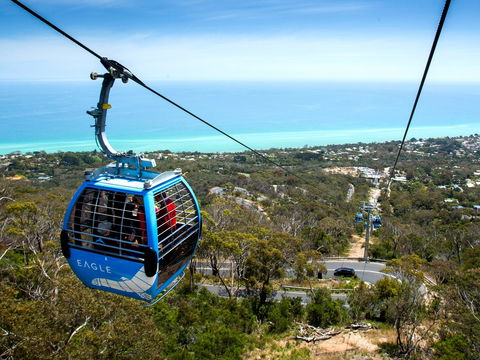 Arthurs Seat Eagle - Holiday Adelaide 1