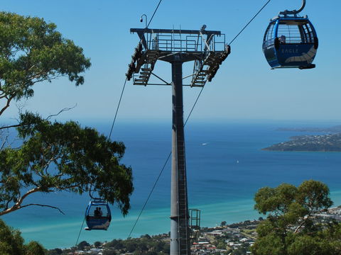 Arthurs Seat Eagle - Holiday Adelaide 2