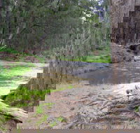 Bangadilly National Park - Holiday Adelaide