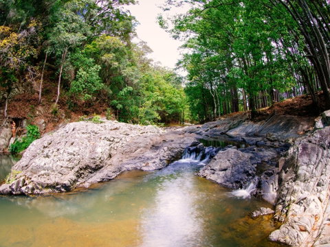 Currumbin Rock Pools - Holiday Adelaide 0