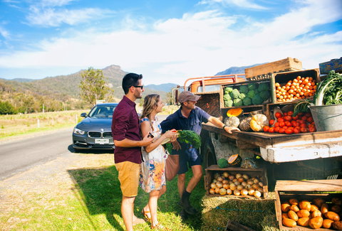 Darlington Park - Holiday Adelaide 1