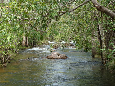 Florence Creek Walk - Holiday Adelaide 0