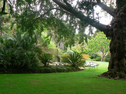 Friends Of Geelong Botanic Gardens - Holiday Adelaide 1