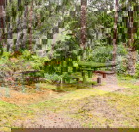 Goodenia Rainforest picnic area - Holiday Adelaide