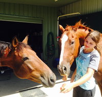 Iris Lodge Alpacas - Holiday Adelaide