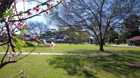 Koshigaya Park - Holiday Adelaide 0
