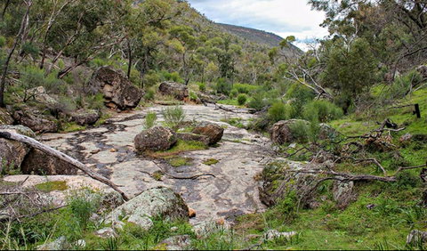 Lynchs Loop Trail - Holiday Adelaide 0