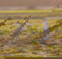 Mary River Area - Holiday Adelaide