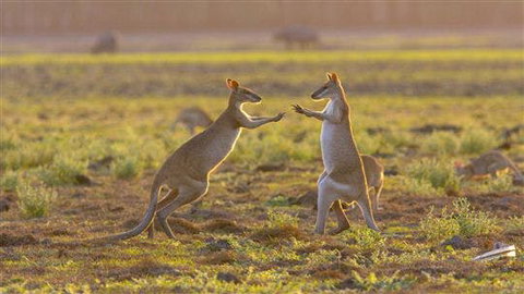 Mary River Area - Holiday Adelaide 0