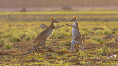 Mary River Area - Holiday Adelaide 1