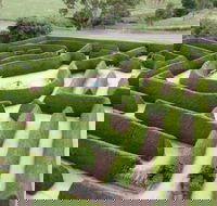 Mintaro Maze - Holiday Adelaide