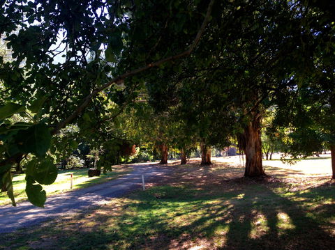 Mirimbah Park - Holiday Adelaide 0